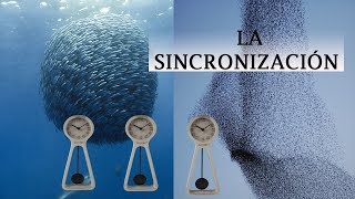 LA SINCRONIZACIÓN EN LA VIDA