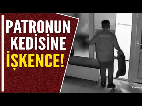 PATRONUN KEDİSİNE İŞKENCE!