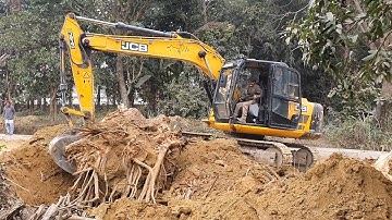 JCB Excavator Vs Heavy Tree Root - JCB Excavator Pulling Out Heavy Tree Root - JCB Excavator Video