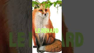 Description du Renard : Expression écrite en français - 5ème année primaire. #الخامسة #renard #ثعلب