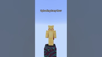 Hour 13 Of Placing One Block Until I Show ALL Of Minecraft