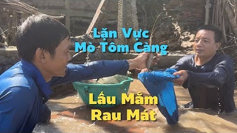 Ra Sông Hậu Lặn Vực Bắt Tôm Càng Về Nấu Lẩu Mắm Ăn Với Rau Mát Thì Hết Bài | Cldv #896