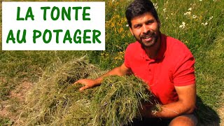 UTILISER LA TONTE AU POTAGER