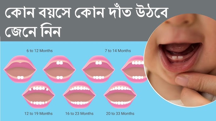 Gabozov Aliana videoni sikadi Porno onam ogliga ruscha porno minat beradi