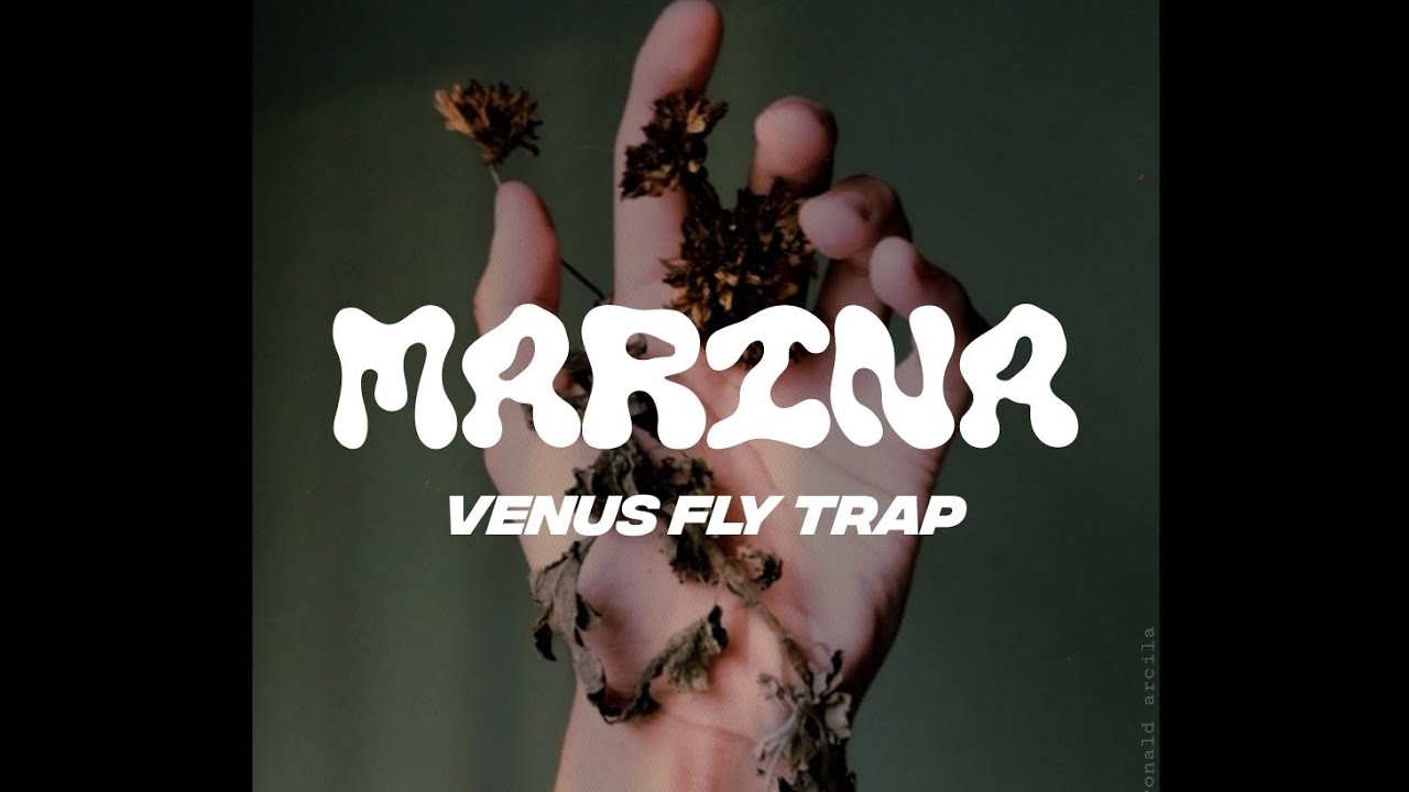 MARINA Venus Fly Trap (Lyrics) YouTube