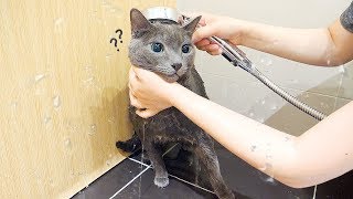 Monji Takes First Shower In 2 Years!