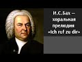 И.С.Бах — хоральная прелюдия «Ich ruf zu dir», BWV 639. Ильяс Невретдинов, Тимур Халиуллин