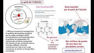 Le péril de l'uracile