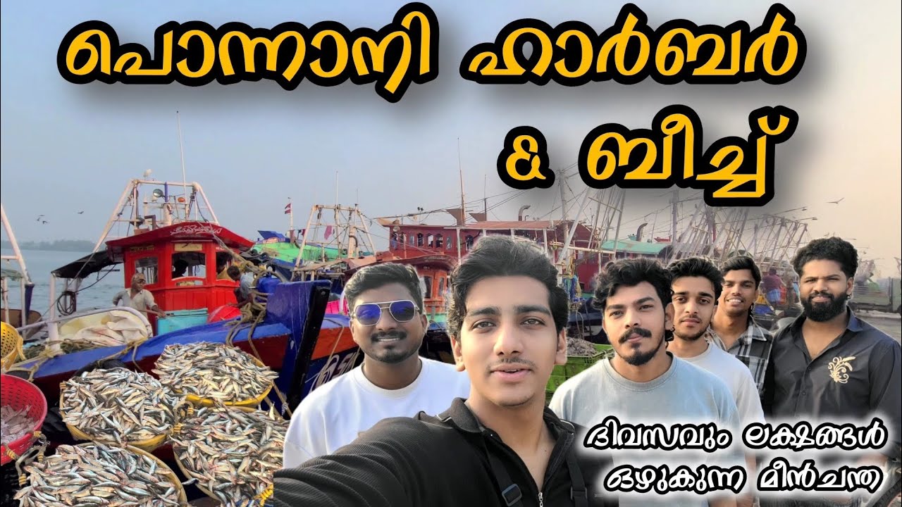 Ponnani Harbour & Beach | ലക്ഷങ്ങളുടെ മീൻ മാർക്കറ്റ് | #ponnanibeach #harbour #fisherman 