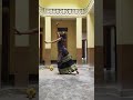 Hilesso hilessa song #dance #telugusongs #saipallavi