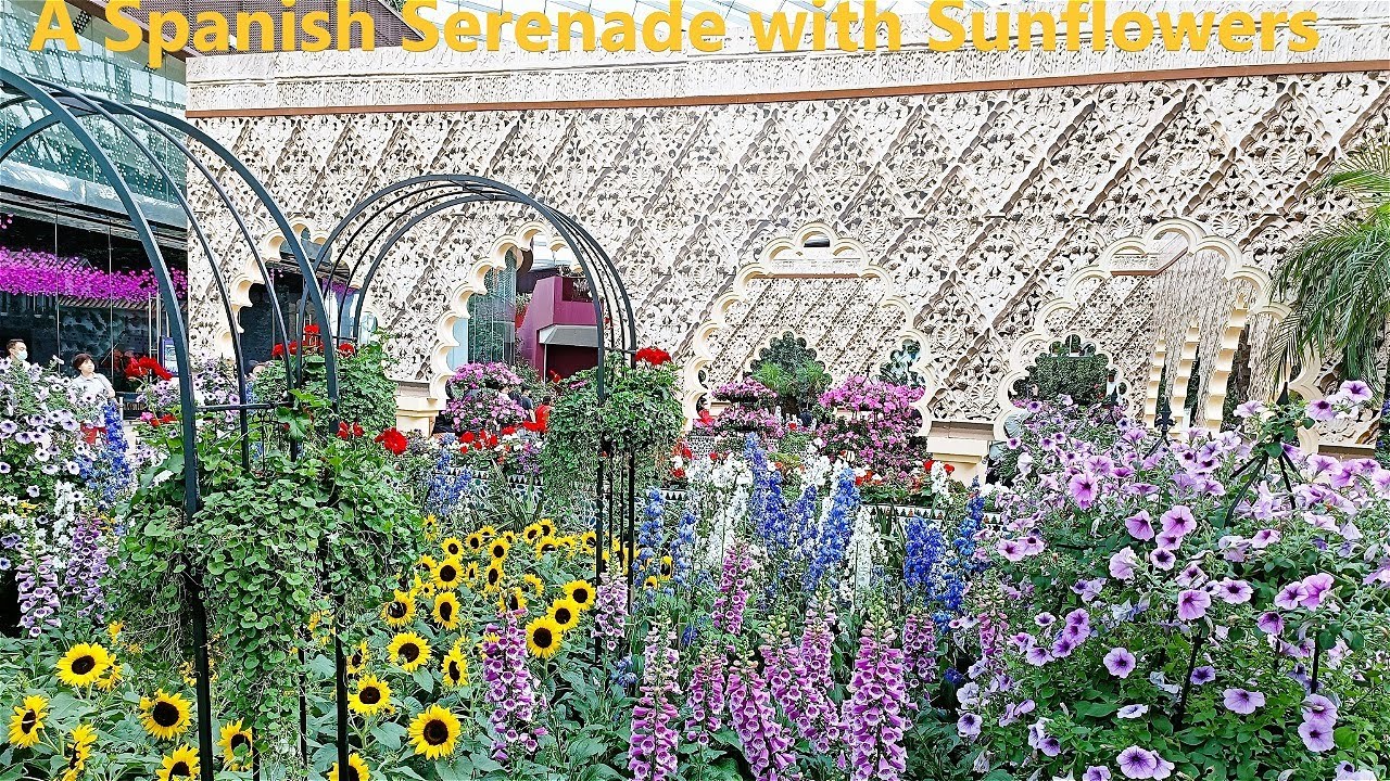 A Spanish Serenade with Sunflowers Gardens By the Bay Flower Dome