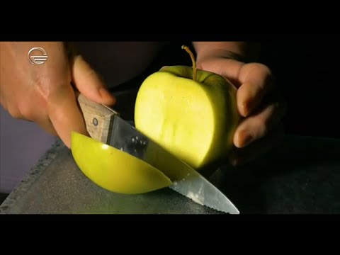 საიმედო რეკომენდაცია - 29 ნოემბერი, 2020 წელი