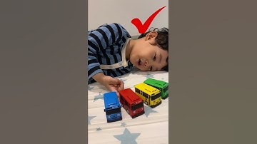 Xoài KAKOBI Học Màu Sắc Tiếng Việt Và Tiếng Anh Với Bộ Sưu Tập Xe Đồ Chơi Tayo Bus #shorts