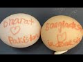 RAW EGG PEELING - Moha melo