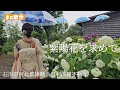 【観光】紫陽花を求めて倶利伽羅へ　石川県河北郡津幡　西之坊鳳凰殿　#観光　#石川観光