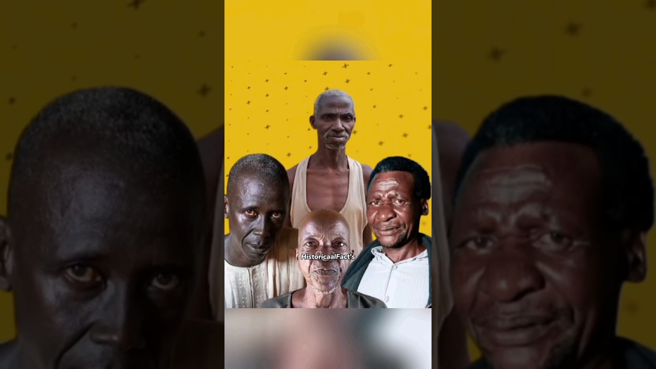 They people were hidden in ship Rudder🚢 