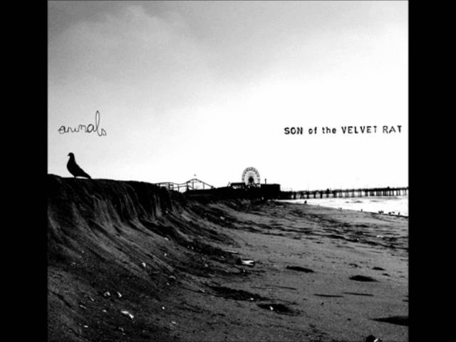 Watch Play A Ghost Note On My Soul - Son Of The Velvet Rat on YouTube Watch Play A Ghost Note On My Soul - Son Of The Velvet Rat on YouTube