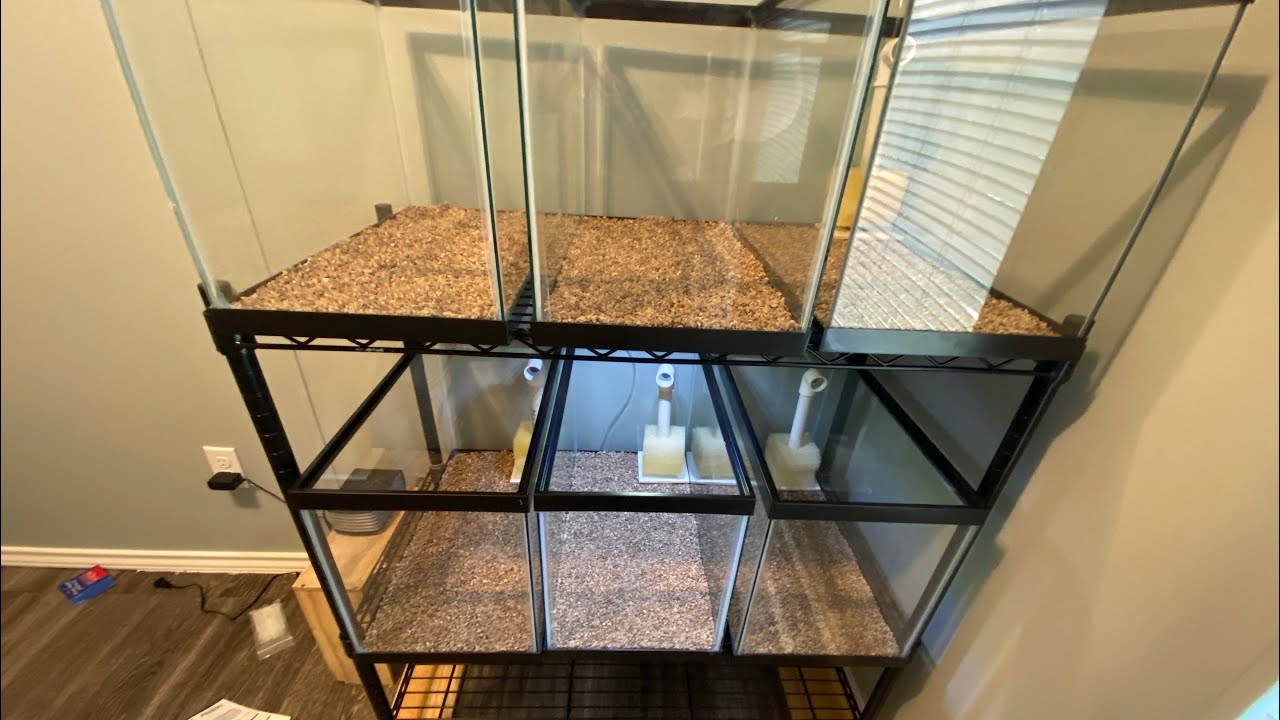 New aquarium rack!!! YouTube