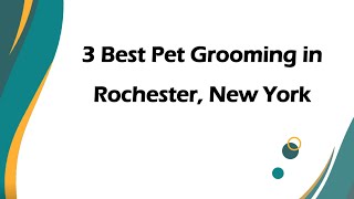 3 Best Pet Grooming in Rochester, New York | Pet Salons