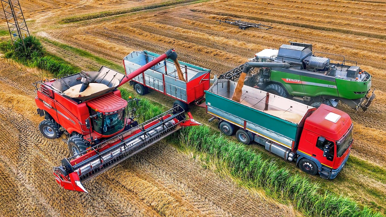 УБОРКА ПШЕНИЦЫ 2025 ГОДА CASE IH AXIAL FLOW FENDT 6335