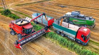 картинка: УБОРКА ПШЕНИЦЫ 2025 ГОДА CASE IH AXIAL FLOW FENDT 6335