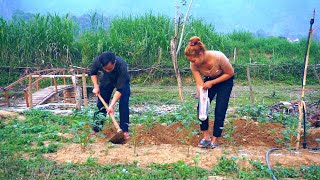 230 days BUILD CABIN LOG - Install an automatic watering system for the farm, Ly Mai's sister visits