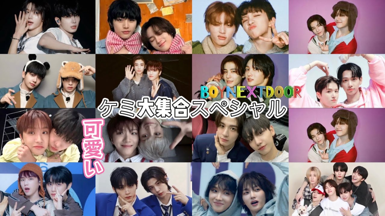 【BOYNEXTDOOR】ケミ大集合スペシャル🚪🐈🦦🐺🐈‍⬛🐠🧸