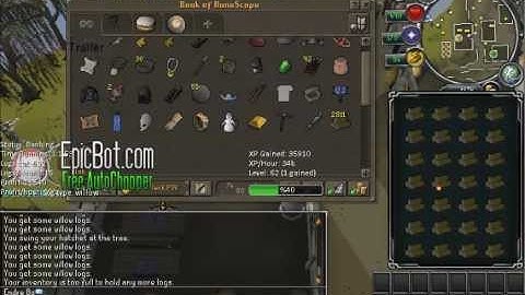 Runescape EpicBot trailer + Download     (mac and pc)