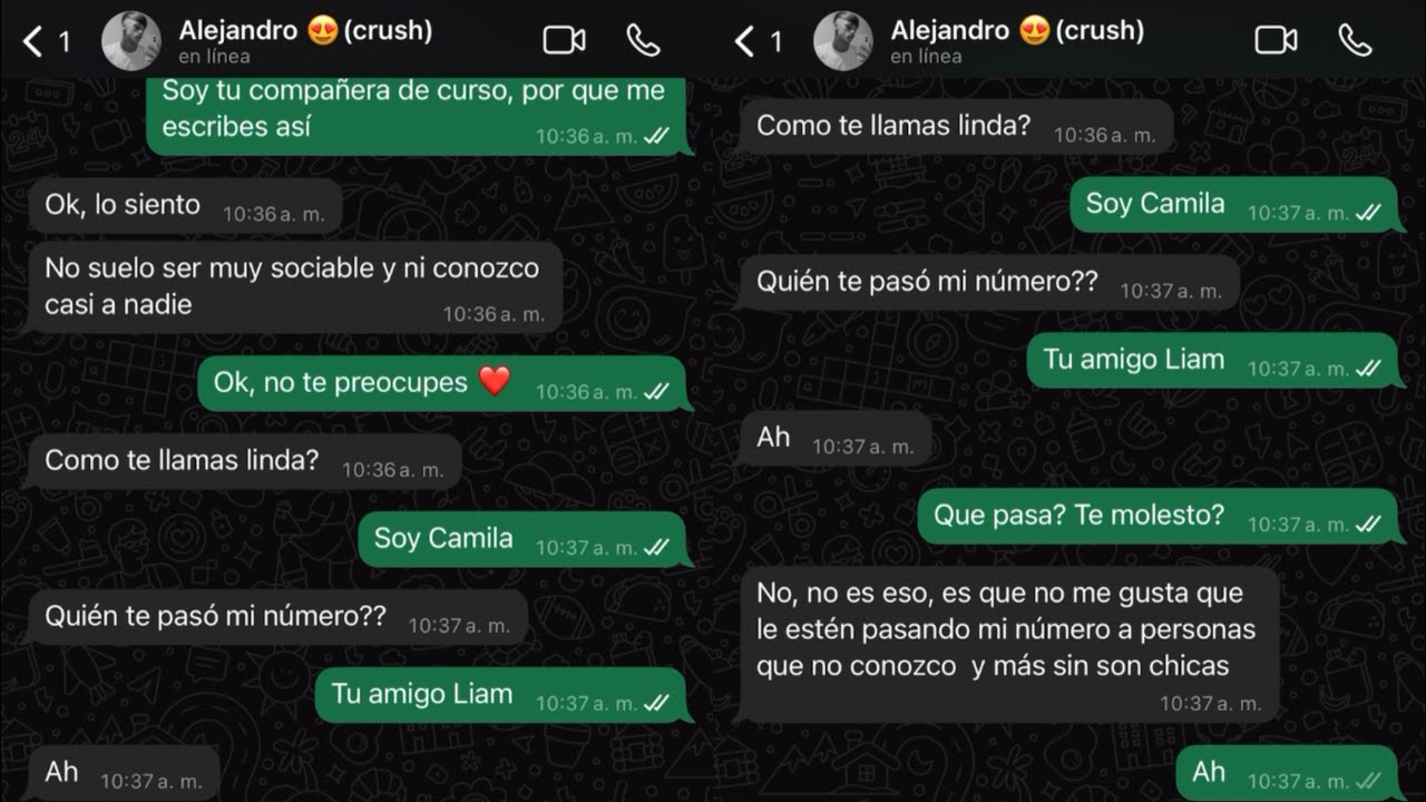 Chats con el chico que me gusta 😍parte 1~ Historias de amor