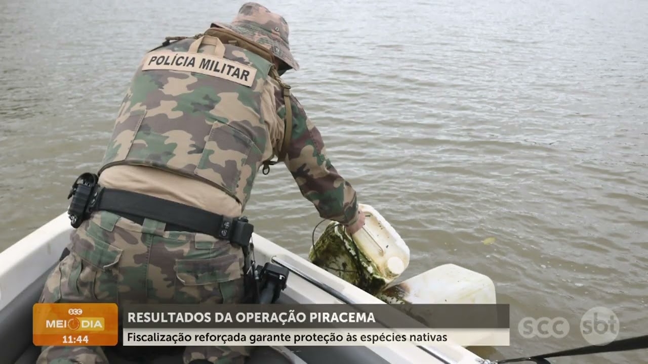 Resultados da Operação Piracema reforçam proteção às espécies | Segurança | SCC Meio-Dia