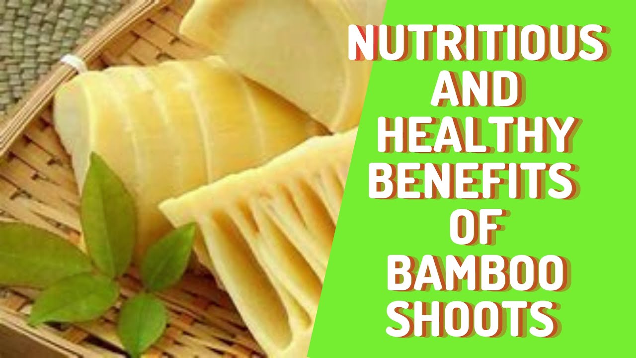 Best Nutrition and Health benefits of Bamboo Shoots YouTube