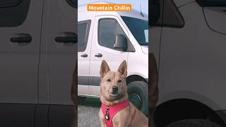 Camping At Greenbrier State Park Appalachian Adventure In Maryland