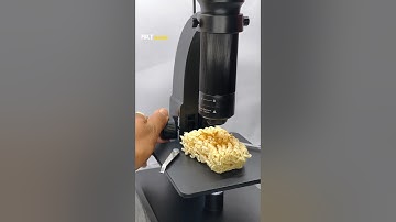 Look At Maggi Under Microscope #shorts #micro #microscope #maggi #science #biology #underamicroscope