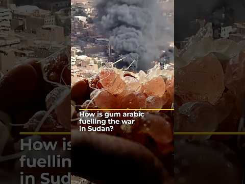 How Is Gum Arabic Fuelling The War In Sudan AJ Shorts 