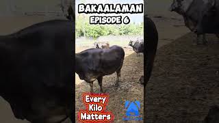 BAKAalaman Episode 6 - Every Kilo Matters
