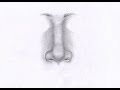 Как рисовать НОС ЧЕЛОВЕКА карандашом. Урок 62. How to draw a nose in pencil. Lesson 62