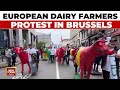 Belgium EU Milk Protest: European Dairy Farmers Wheel Plaster Cows Through Brussels