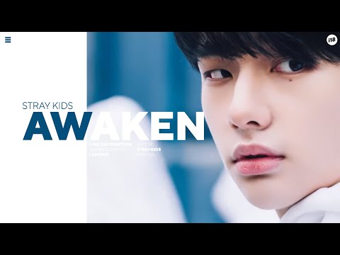 Stray Kids (스트레이 키즈) 'Awaken' - Line Distribution