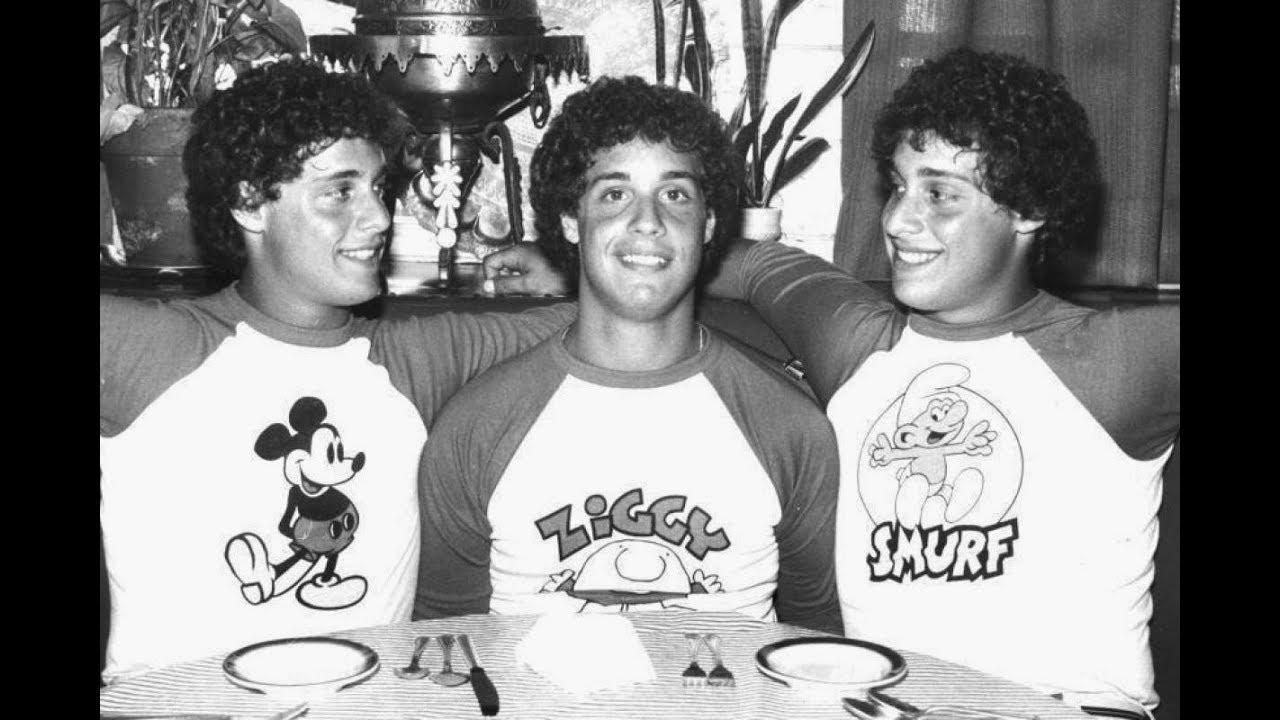 2018 Three Identical Strangers