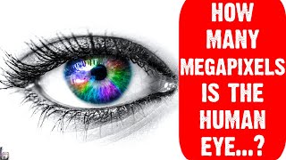 Unveiling the Wonders of the Human Eye: How Many Megapixels Can It Capture👁️Bright Lab | Real Facts