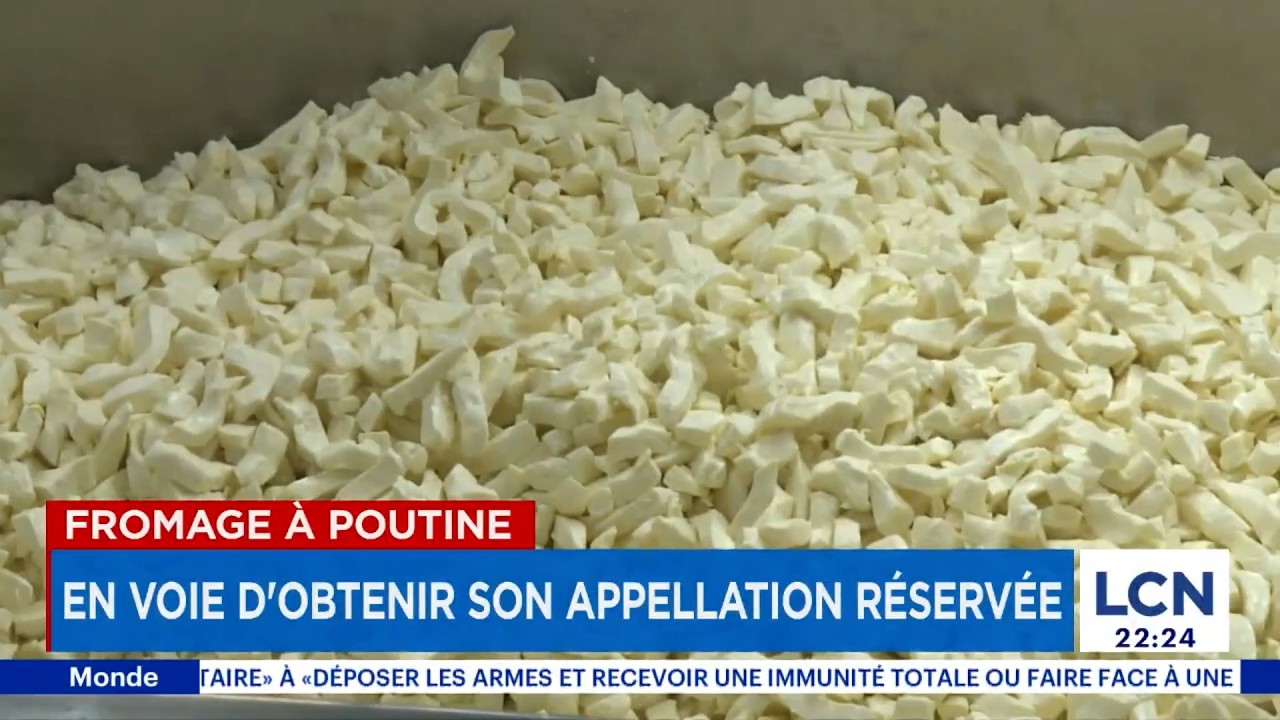 Patrimoine culinaire du Québec: le fromage en grains à poutine bientôt protégé?