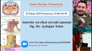 İAEH 56.  ZOOM sunumu, Tekin: Anterior servikal anatomi, 26.10.2020