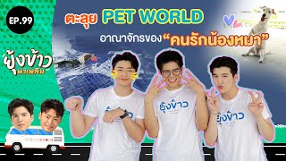 ยุ้งข้าวพาเพลิน EP.99 I ตะลุย PET WORLD อาณาจักรของ "คนรักน้องหมา"