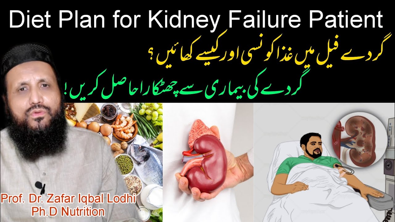 Kidney Kharab Hone Par Kya Khaye Kidney Patient Diet किडनी खराब