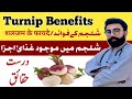 Turnip benefits in urdu|tirnip benefits in Hindi|shalgam ke fayde|shalgam khane ke fayde