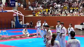 Festival teakwondo Hà Nội mở rộng