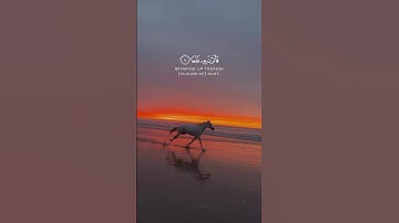 سورة العاديات🌱القارئ عبدالله تلاوة خاشعه🌱 #quran