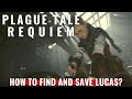 Plague Tale Requiem - Chapter 3 - How to find and save Lucas?