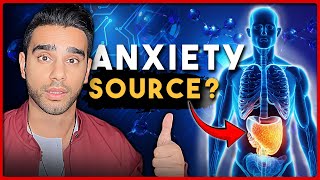 Link Between Gut Health and Anxiety Recovery by Shaan Kassam 6,588 views 3 months ago 15 minutes