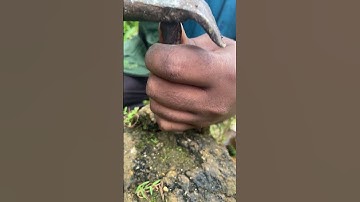 Cracking Rocks to Find Hidden Gold! #gold #rockhounding #gems #goldpanning